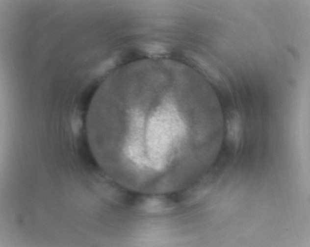 X0000115300618200911231310