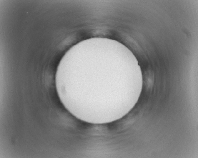 X0000115300619200911231310