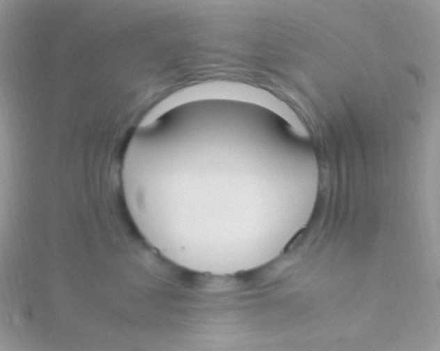 X0000115300621200911231310