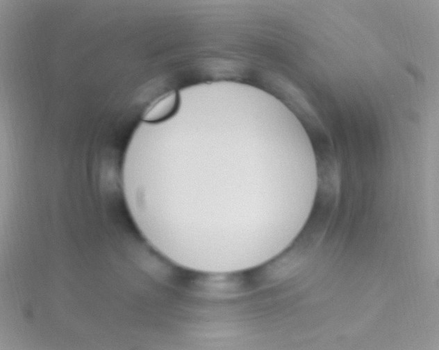 X0000115300622200911231310