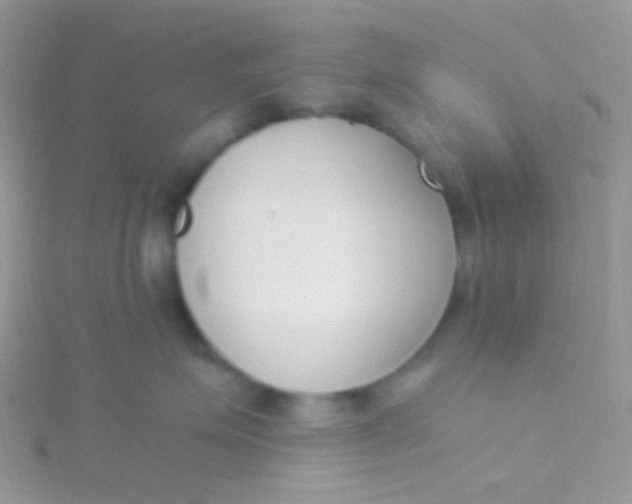 X0000115300623200911231310