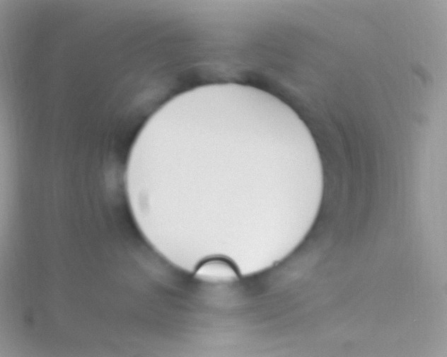 X0000115300624200911231310