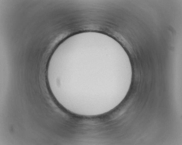 X0000115300625200911231309