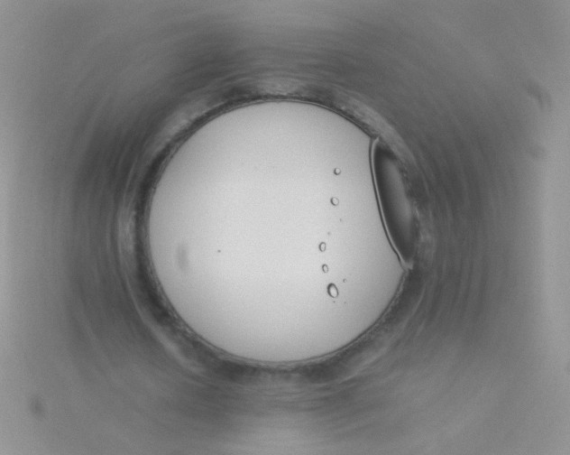 X0000115300626200911231310