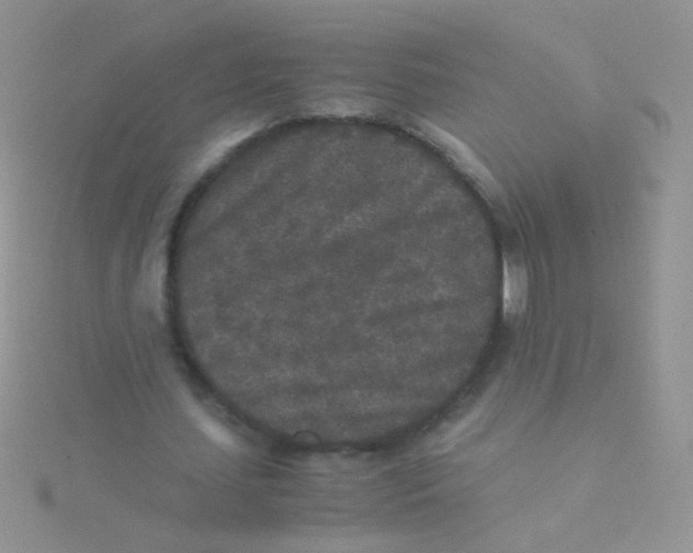 X0000115300627200911231310