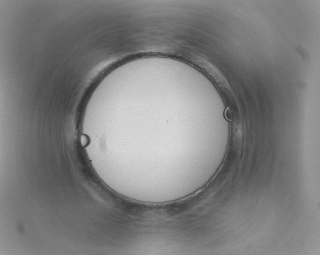 X0000115300628200911231310