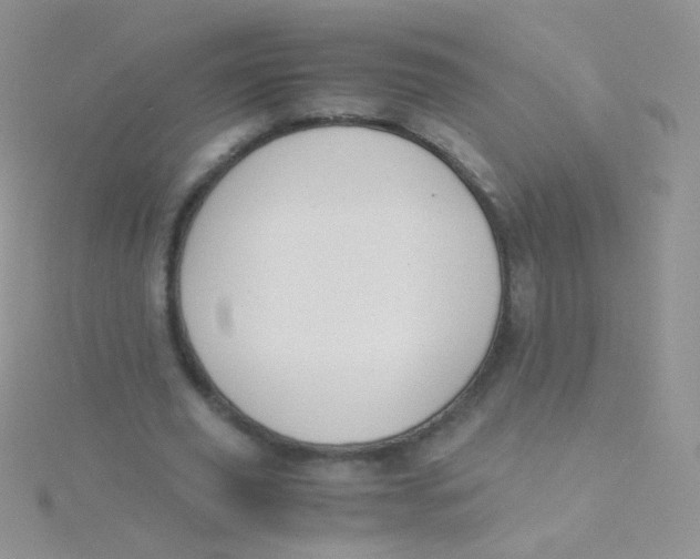 X0000115300629200911231310