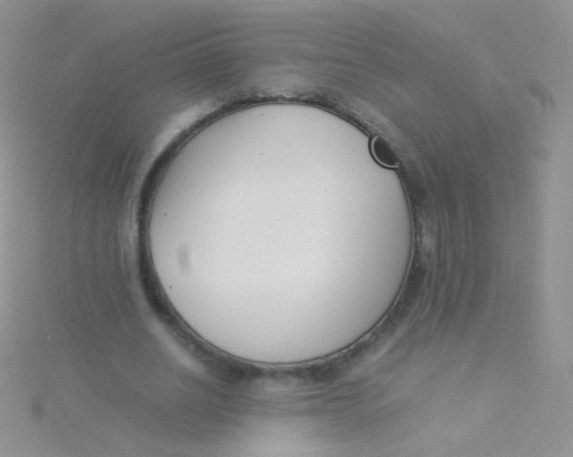 X0000115300630200911231310