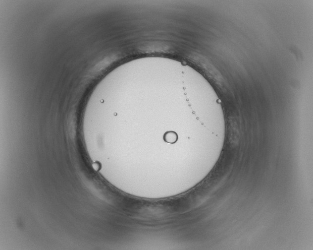 X0000115300631200911231310