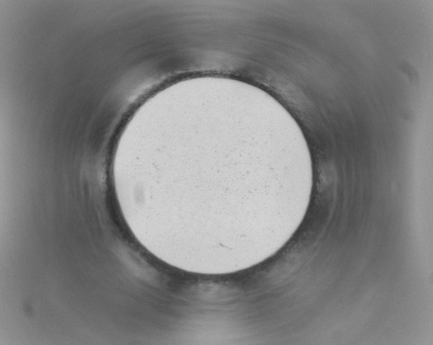 X0000115300632200911231310