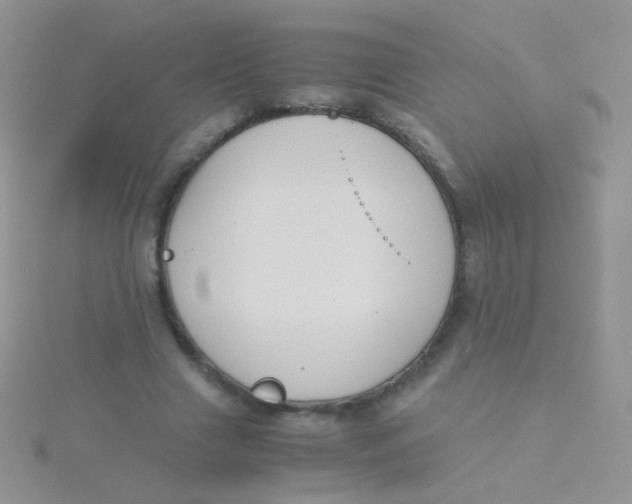 X0000115300633200911231310