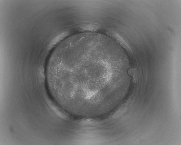 X0000115300634200911231310