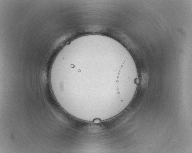 X0000115300636200911231310