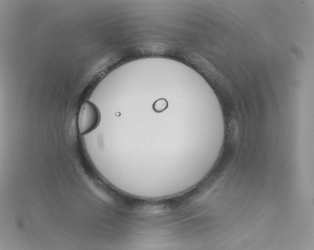 X0000115300638200911231310