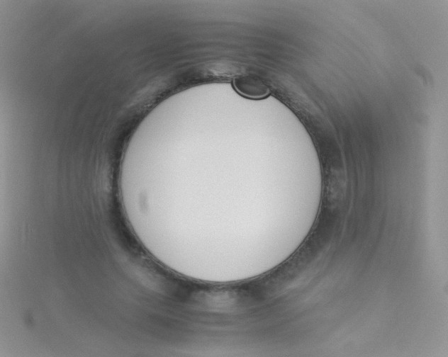 X0000115300639200911231310