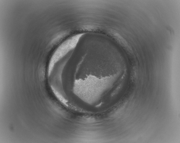 X0000115300640200911231310