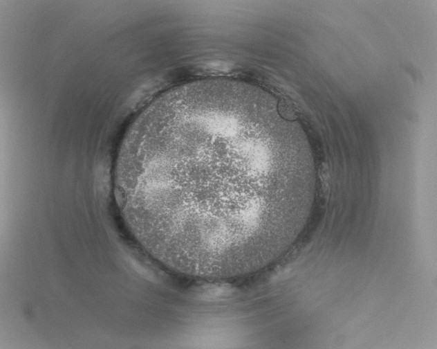 X0000115300642200911231310