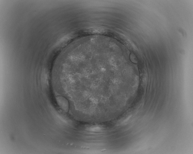 X0000115300643200911231310