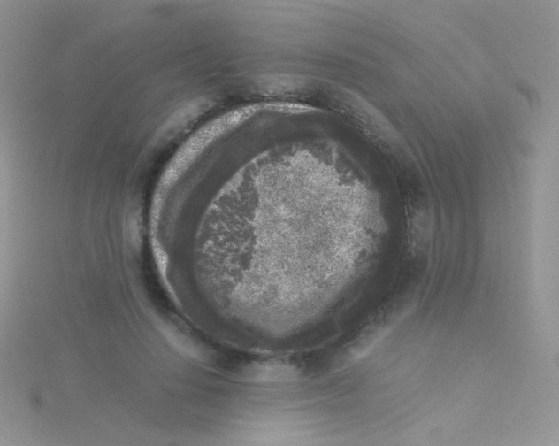 X0000115300644200911231310