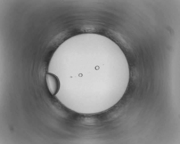 X0000115300645200911231310