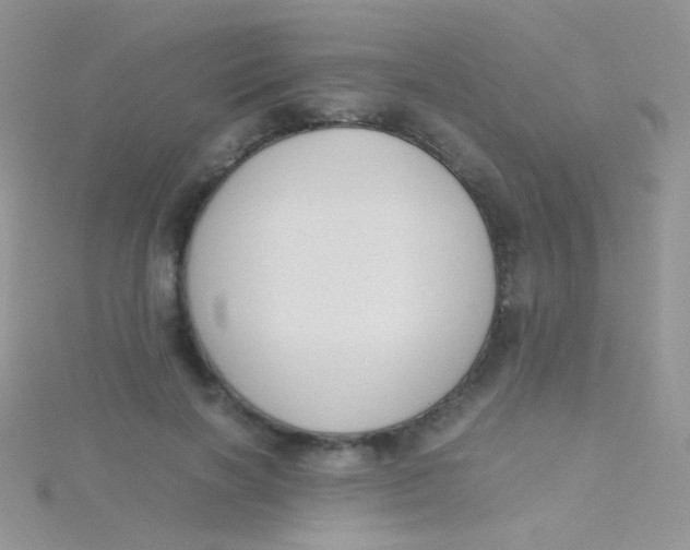 X0000115300646200911231310