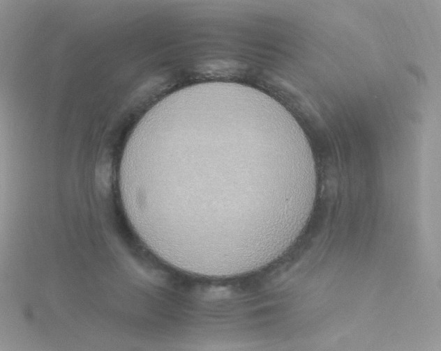 X0000115300647200911231310