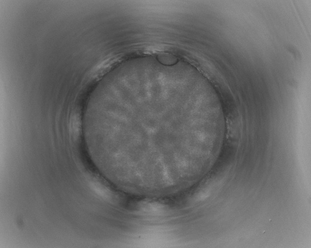 X0000115300648200911231310