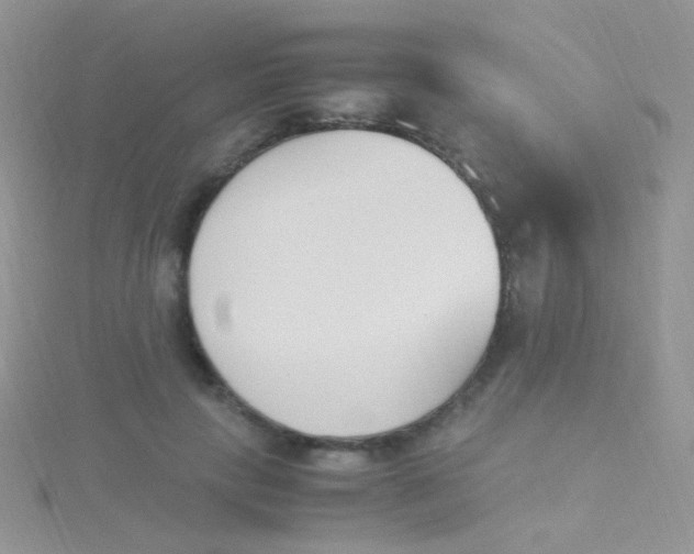 X0000115300649200911231310