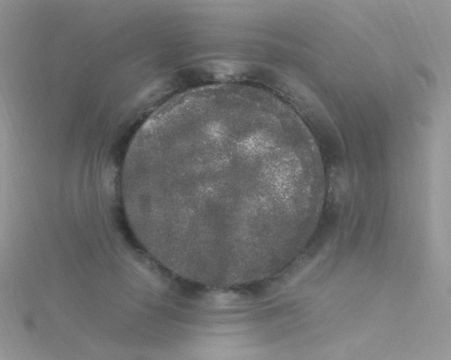 X0000115300650200911231310