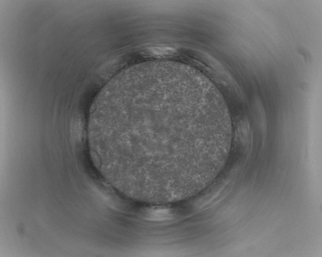 X0000115300651200911231310