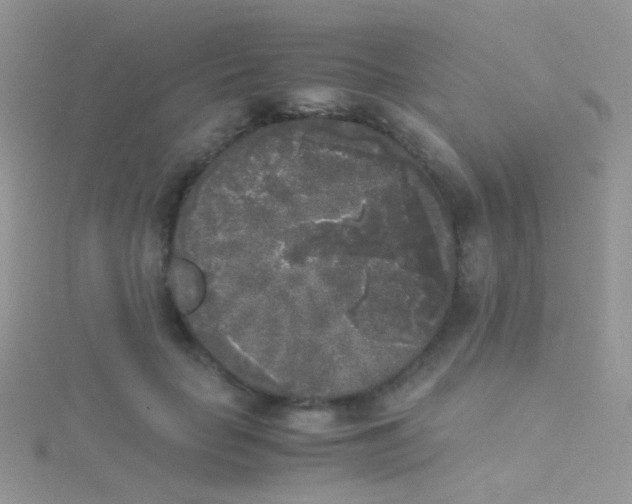 X0000115300653200911231310