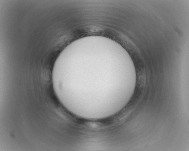 X0000115300654200911231310