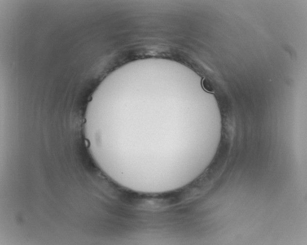 X0000115300657200911231310