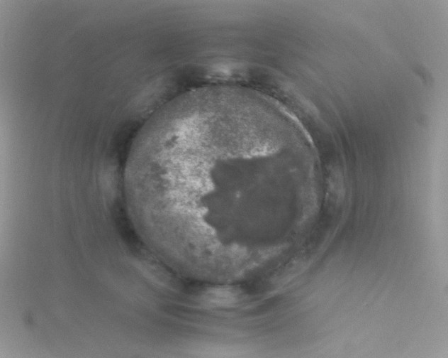 X0000115300659200911231310