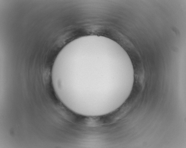 X0000115300660200911231310