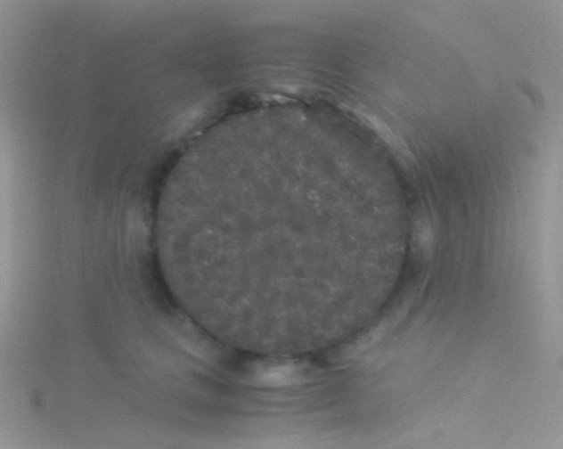 X0000115300661200911231310