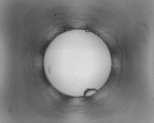 X0000115300664200911231310