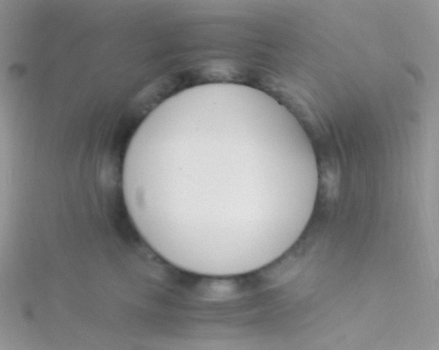 X0000115300665200911231310