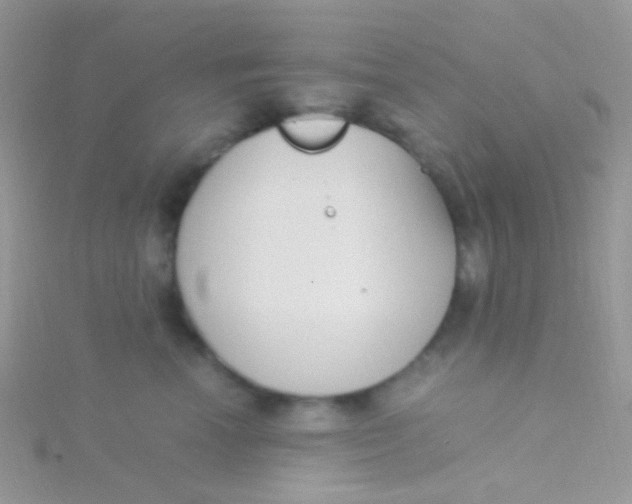 X0000115300666200911231310