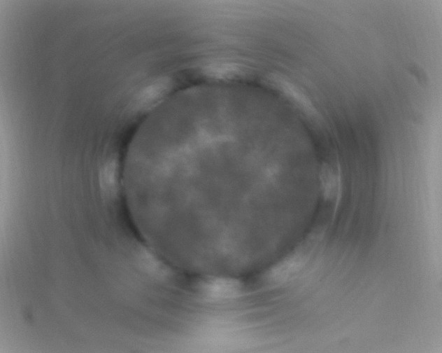 X0000115300670200911231310