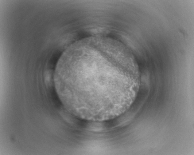 X0000115300671200911231310