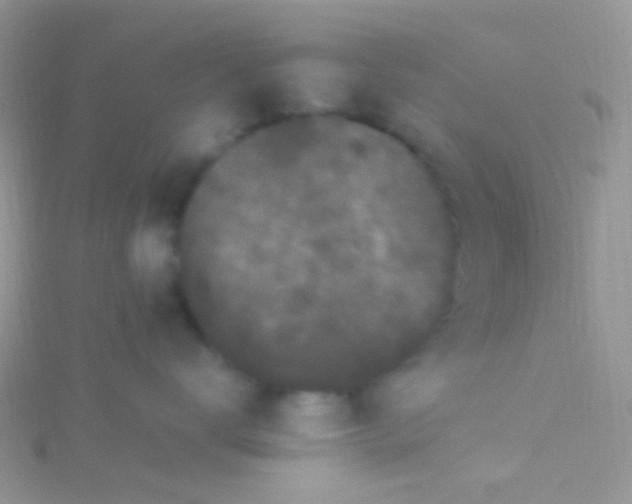 X0000115300672200911231310