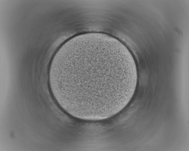 X0000115300673200911231309