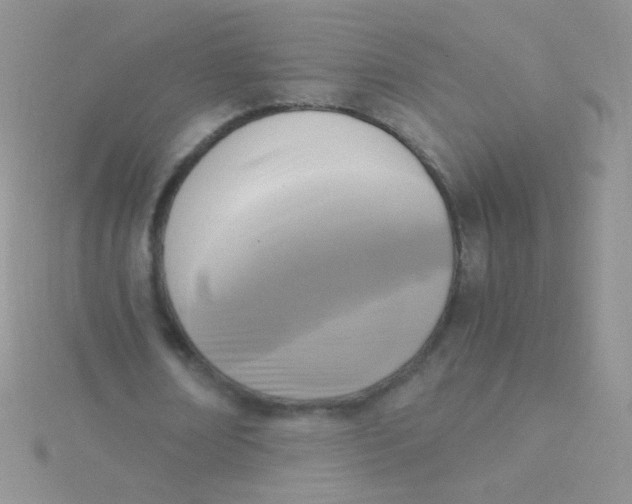 X0000115300674200911231309