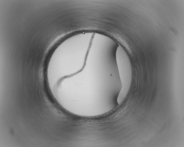 X0000115300676200911231309