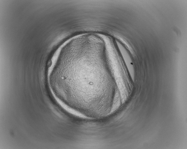 X0000115300677200911231309