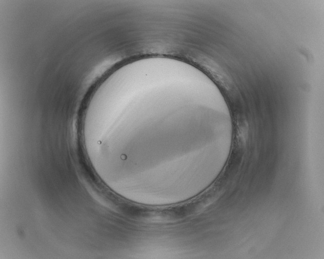 X0000115300678200911231309