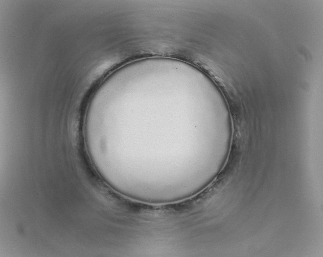 X0000115300679200911231309