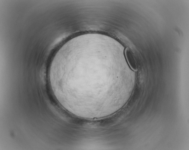 X0000115300680200911231309