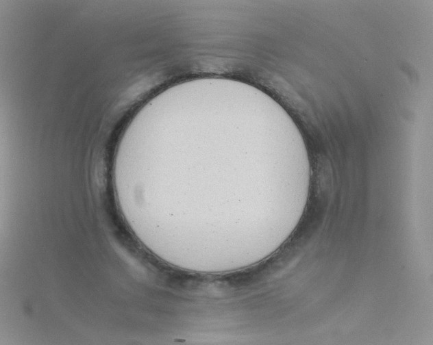 X0000115300683200911231309